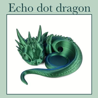 Echo-dragon